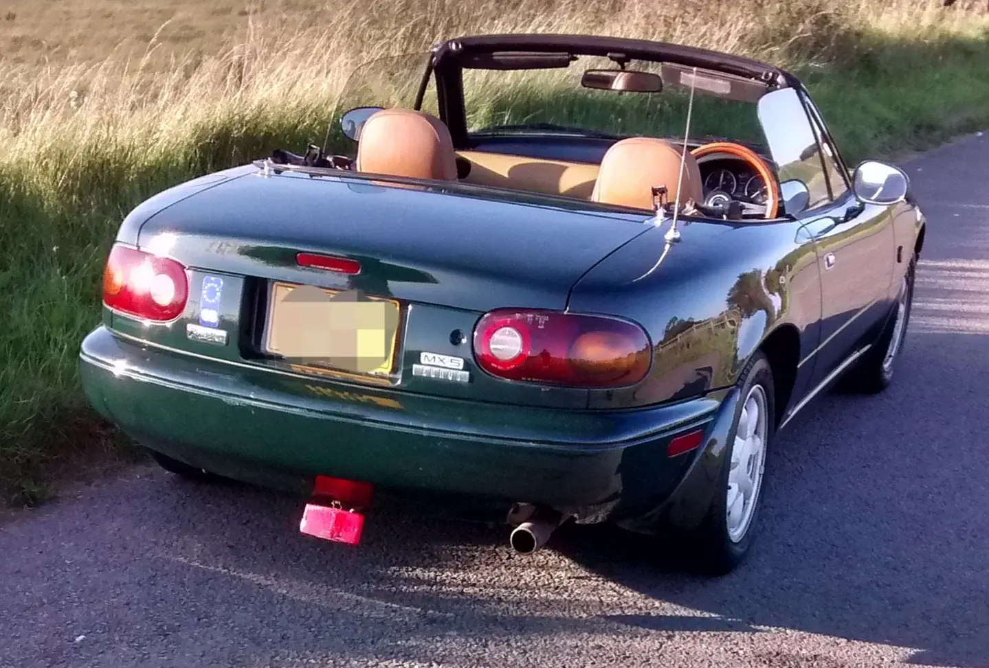 IMG_20251020_170346.webp IMG_20251020_170346.webp