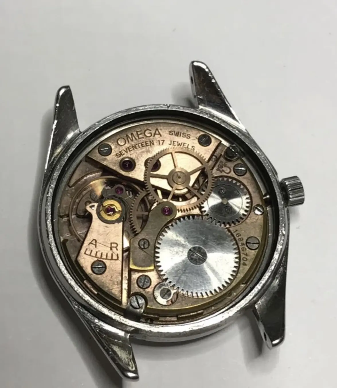 IMG_5408.webp IMG_5408.webp