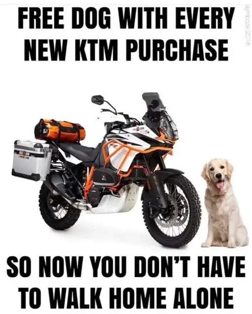 KTM LAB.webp