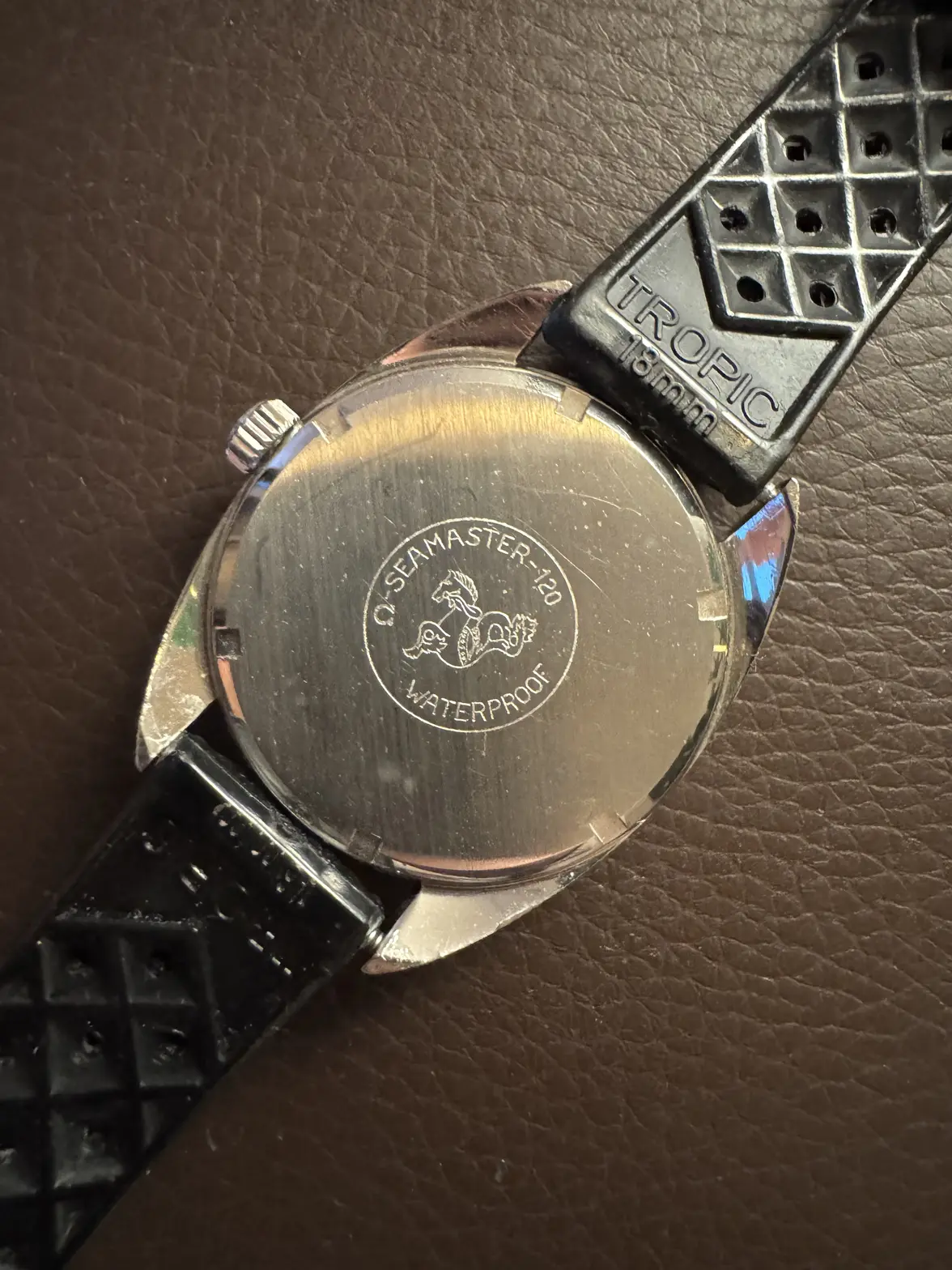 IMG_8105.webp IMG_8105.webp