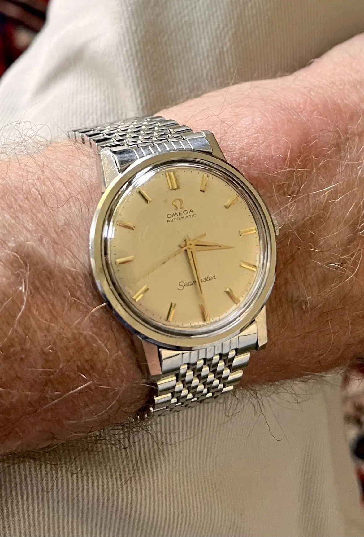 IMG_4187.webp IMG_4187.webp