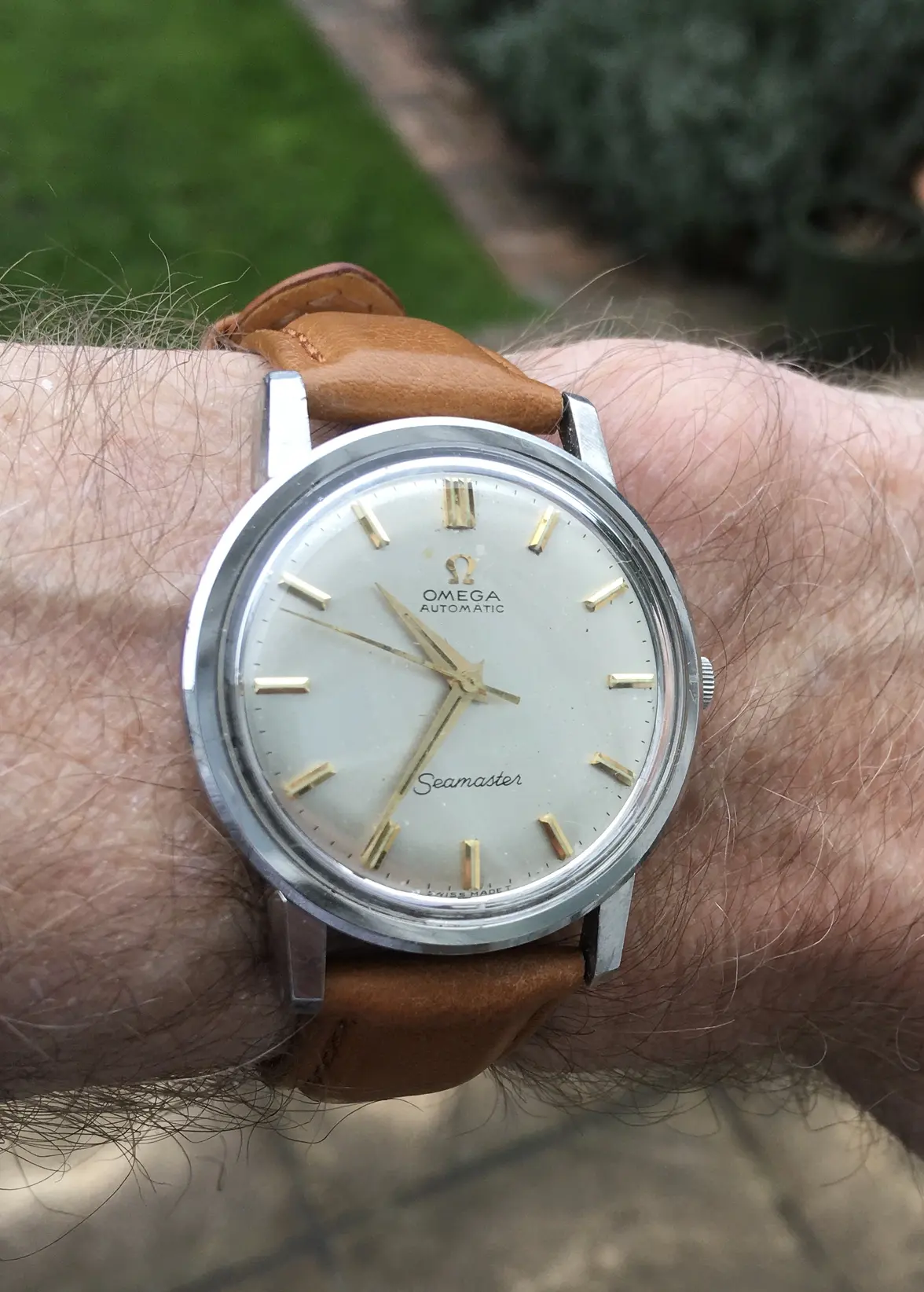 IMG_9975.webp IMG_9975.webp