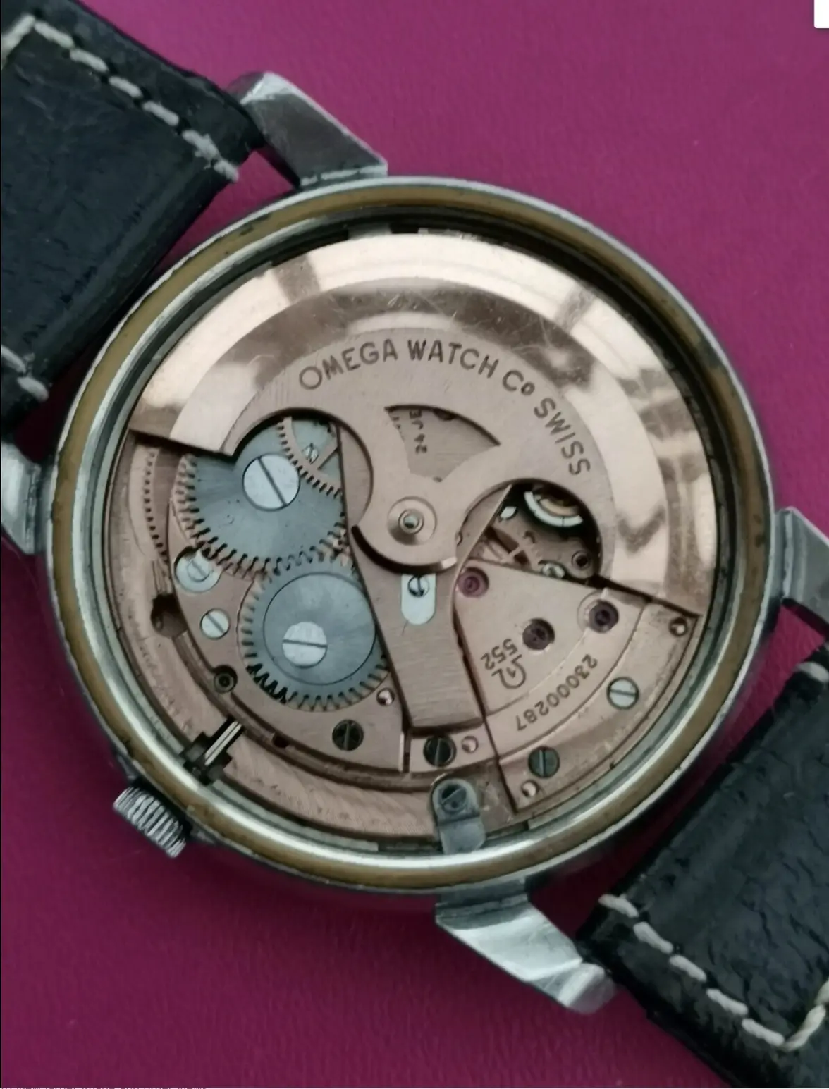 IMG_2824.webp IMG_2824.webp