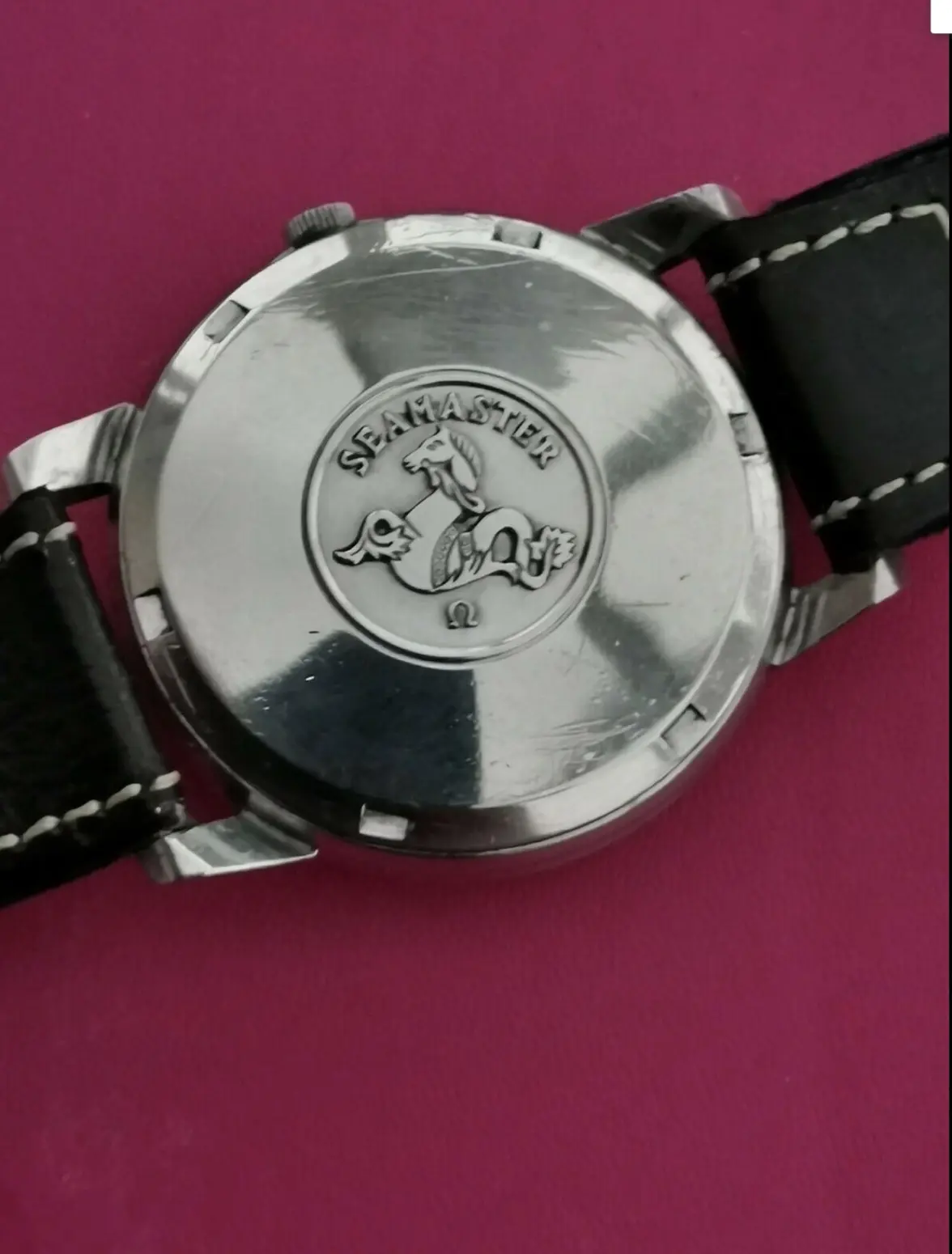 IMG_2830.webp IMG_2830.webp