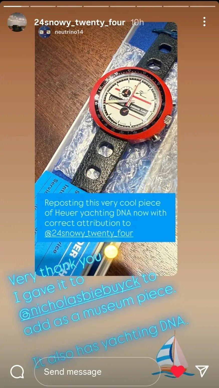 Snowy Hobbie Cat Easy Rider.webp