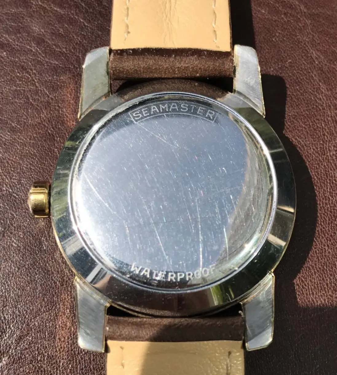 IMG_1043.webp IMG_1043.webp