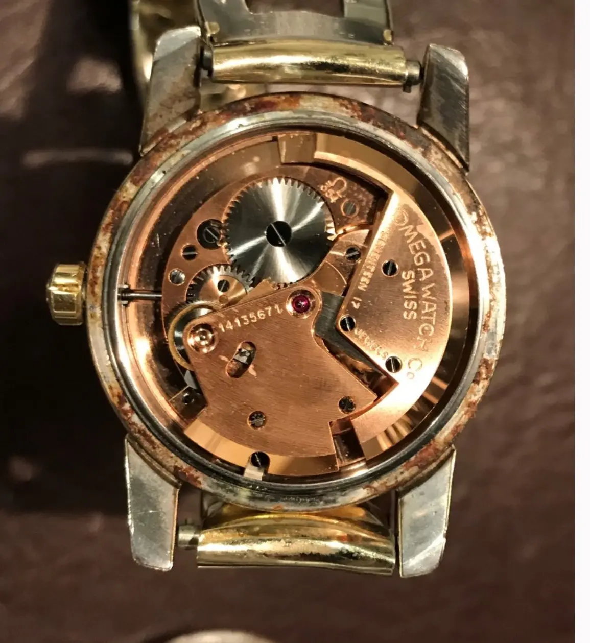 IMG_1044.webp IMG_1044.webp