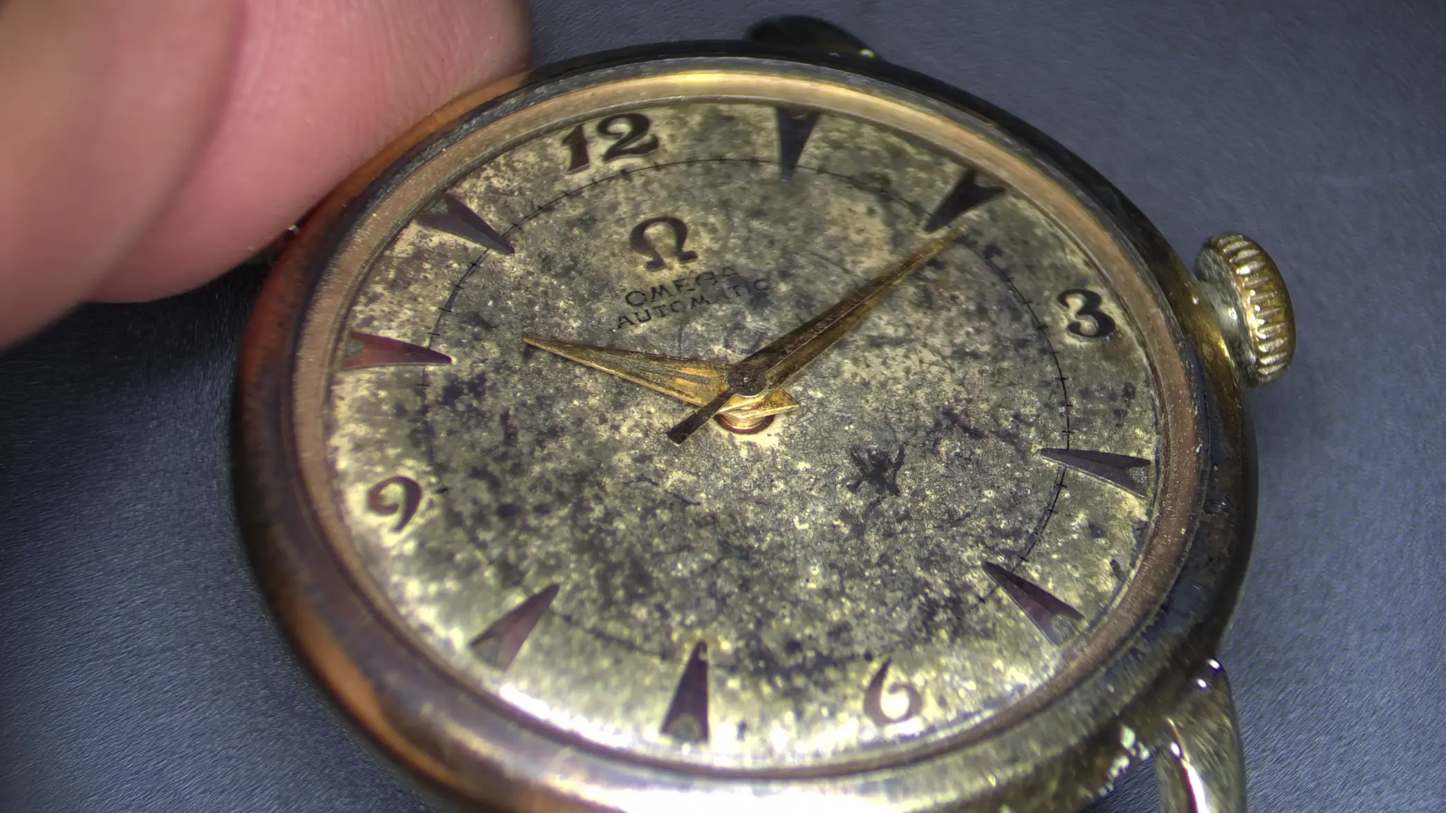 IMG_0113.webp IMG_0113.webp