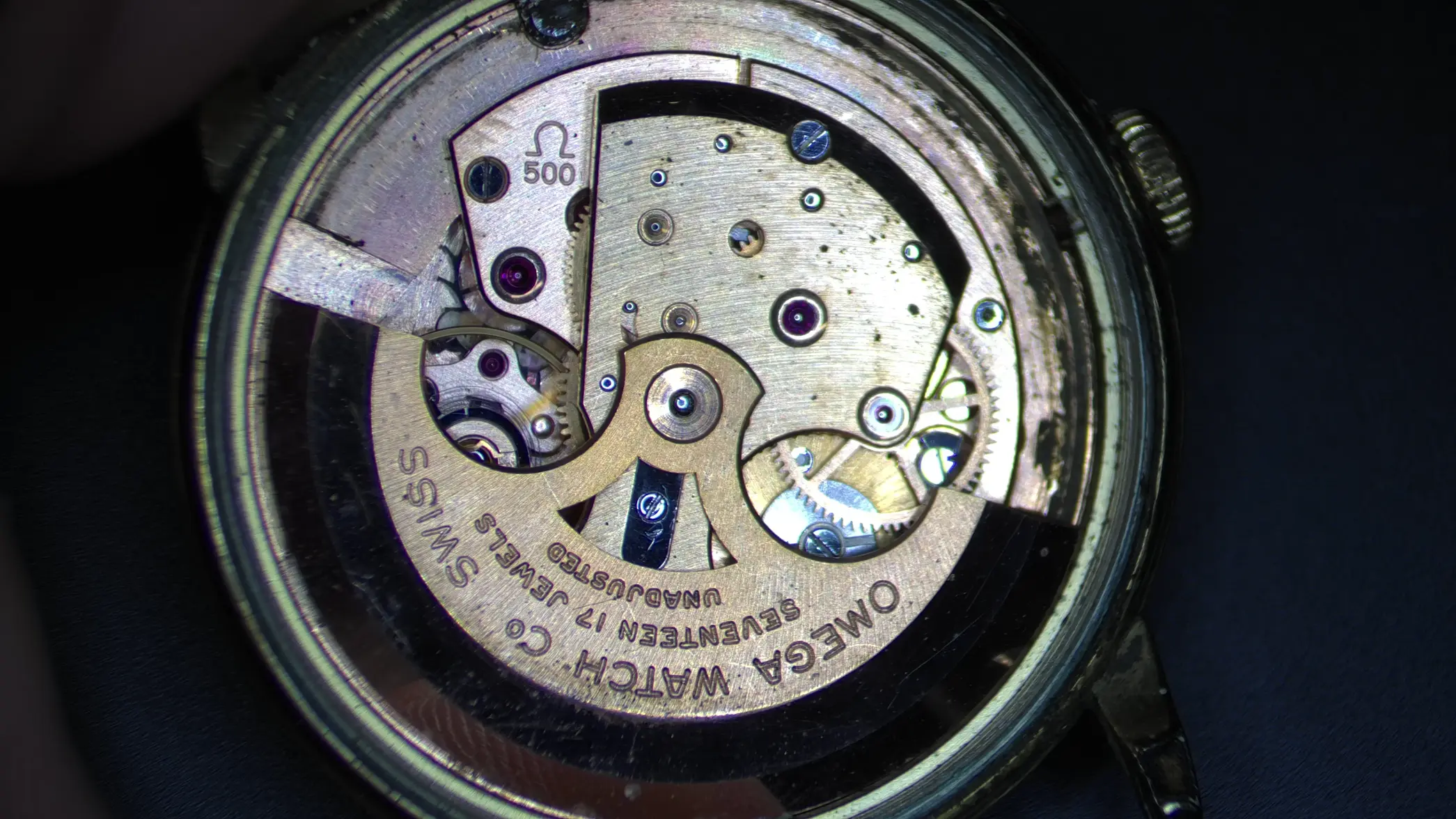 IMG_0115.webp IMG_0115.webp