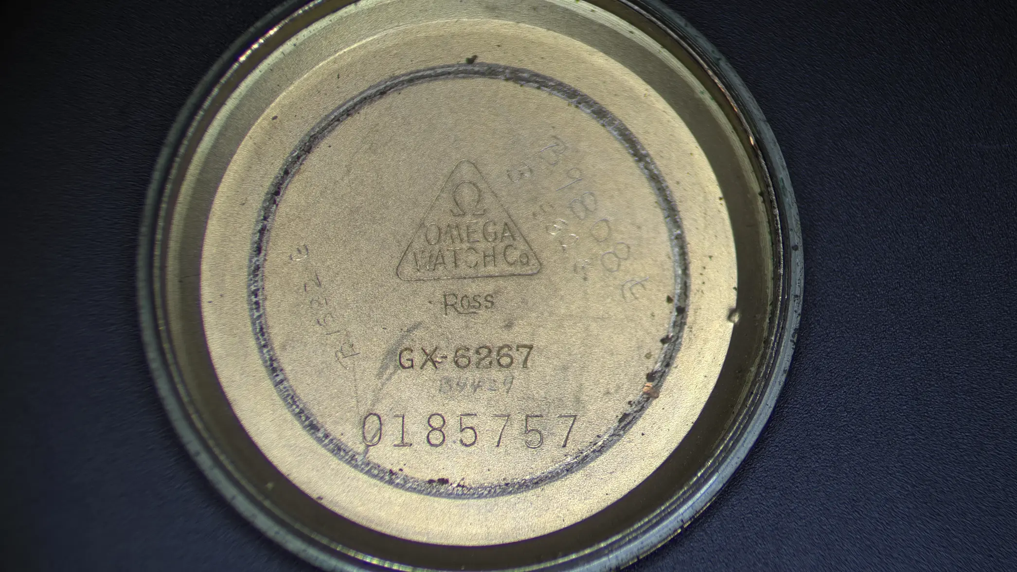 IMG_0116.webp IMG_0116.webp