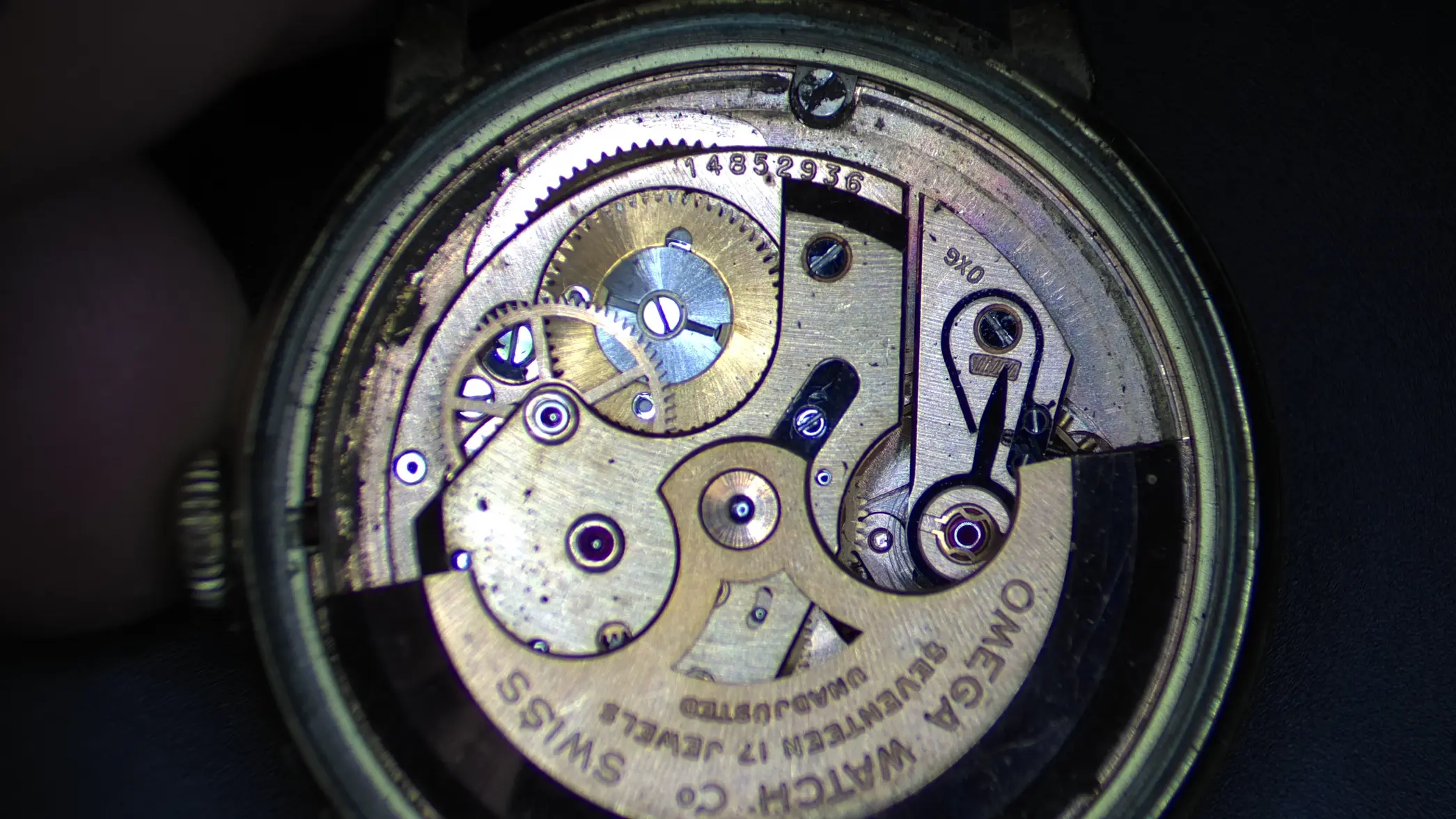 IMG_0117.webp IMG_0117.webp