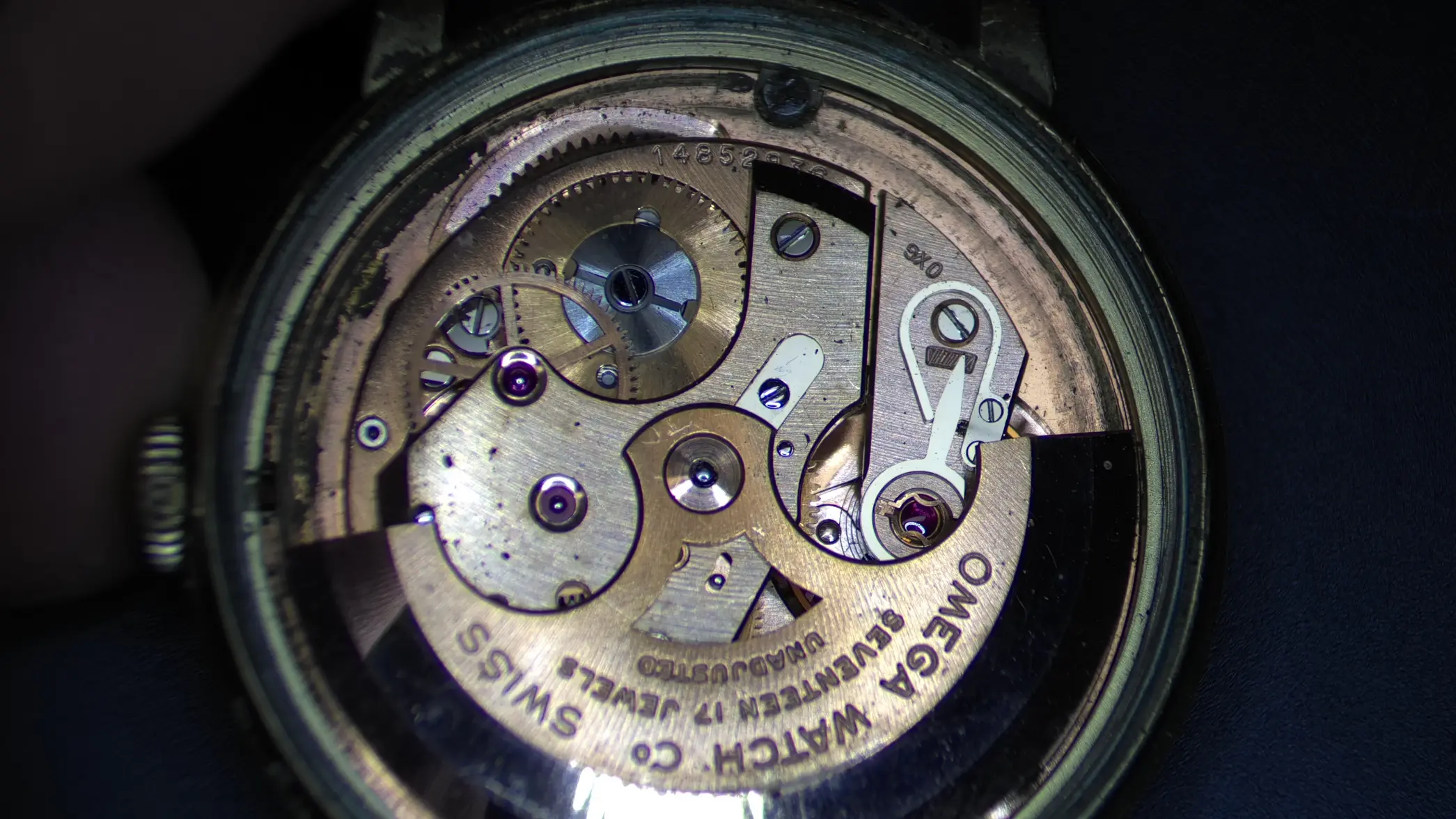 IMG_0118.webp IMG_0118.webp