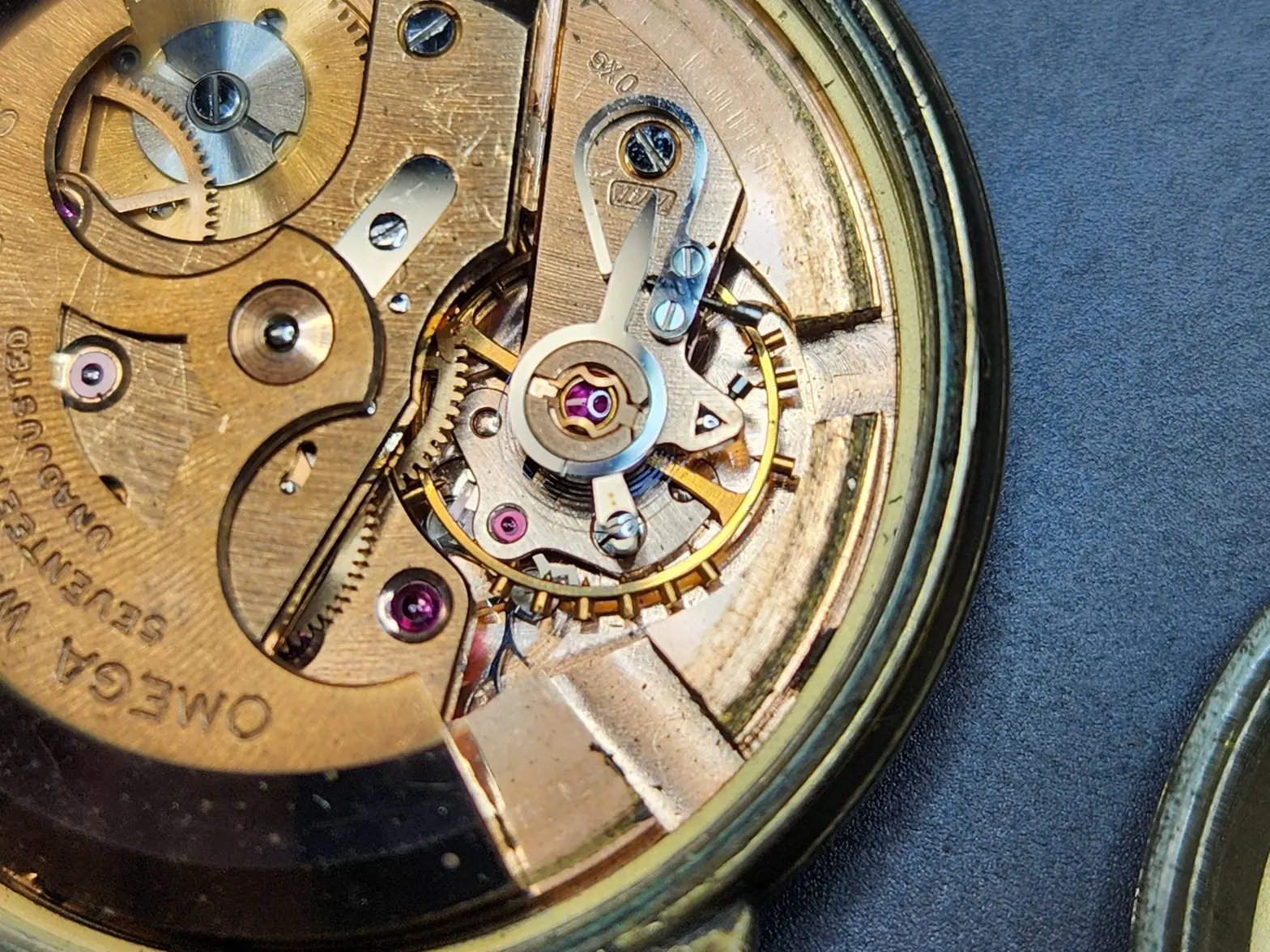 20251027_174728.webp 20251027_174728.webp