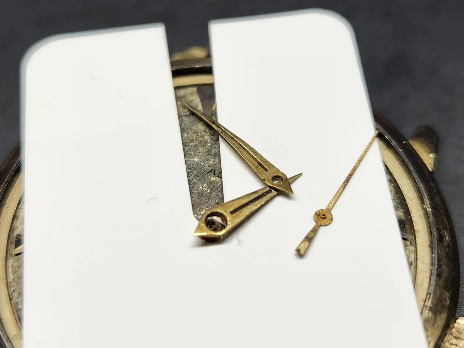 20251028_110649.webp 20251028_110649.webp