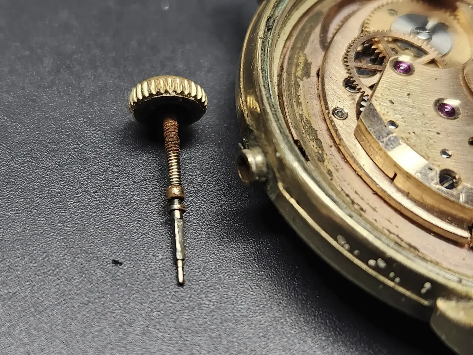 20251028_110933.webp 20251028_110933.webp