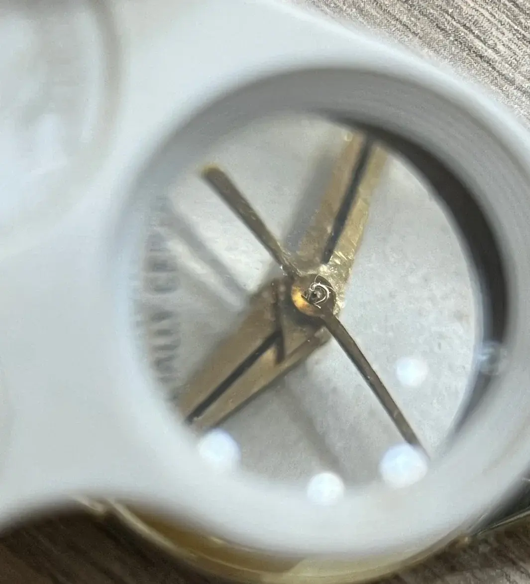 Constellation (5).webp