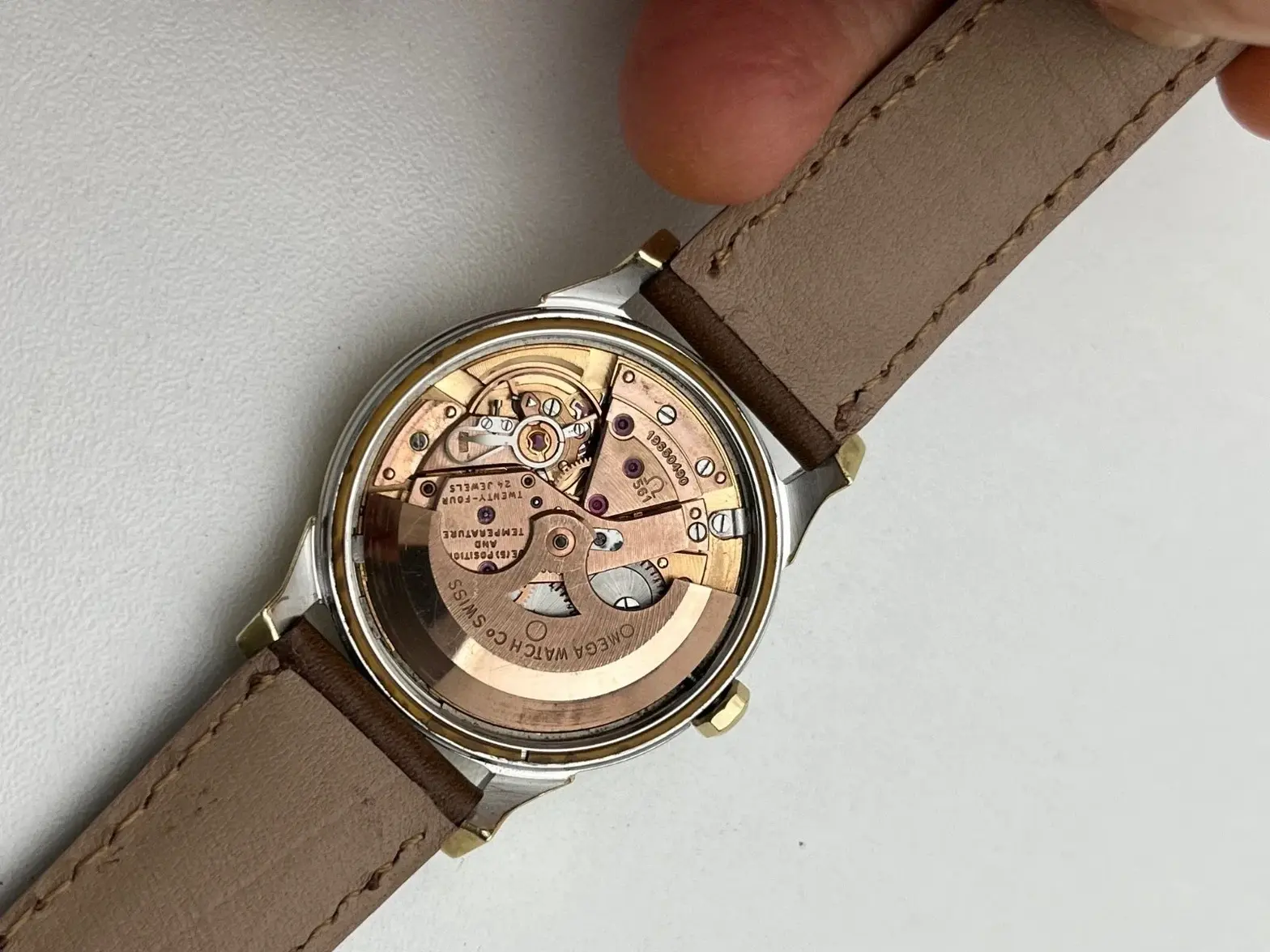 Constellation (6).webp