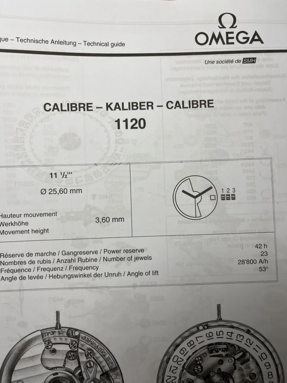 image.webp image.webp