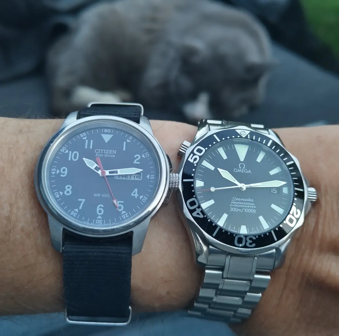 IMG_20230615_221303 (2).webp