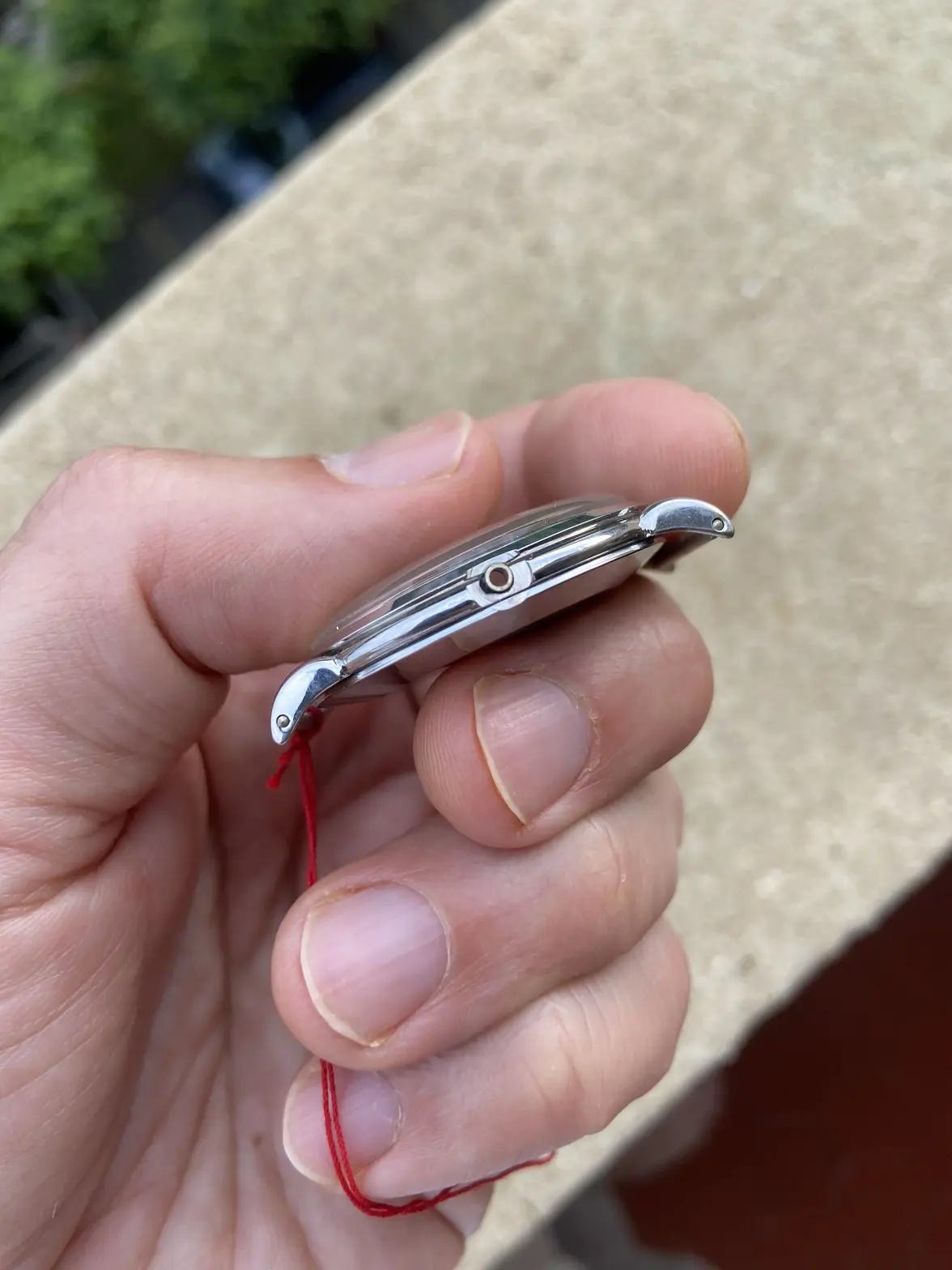 IMG_8556.webp IMG_8556.webp