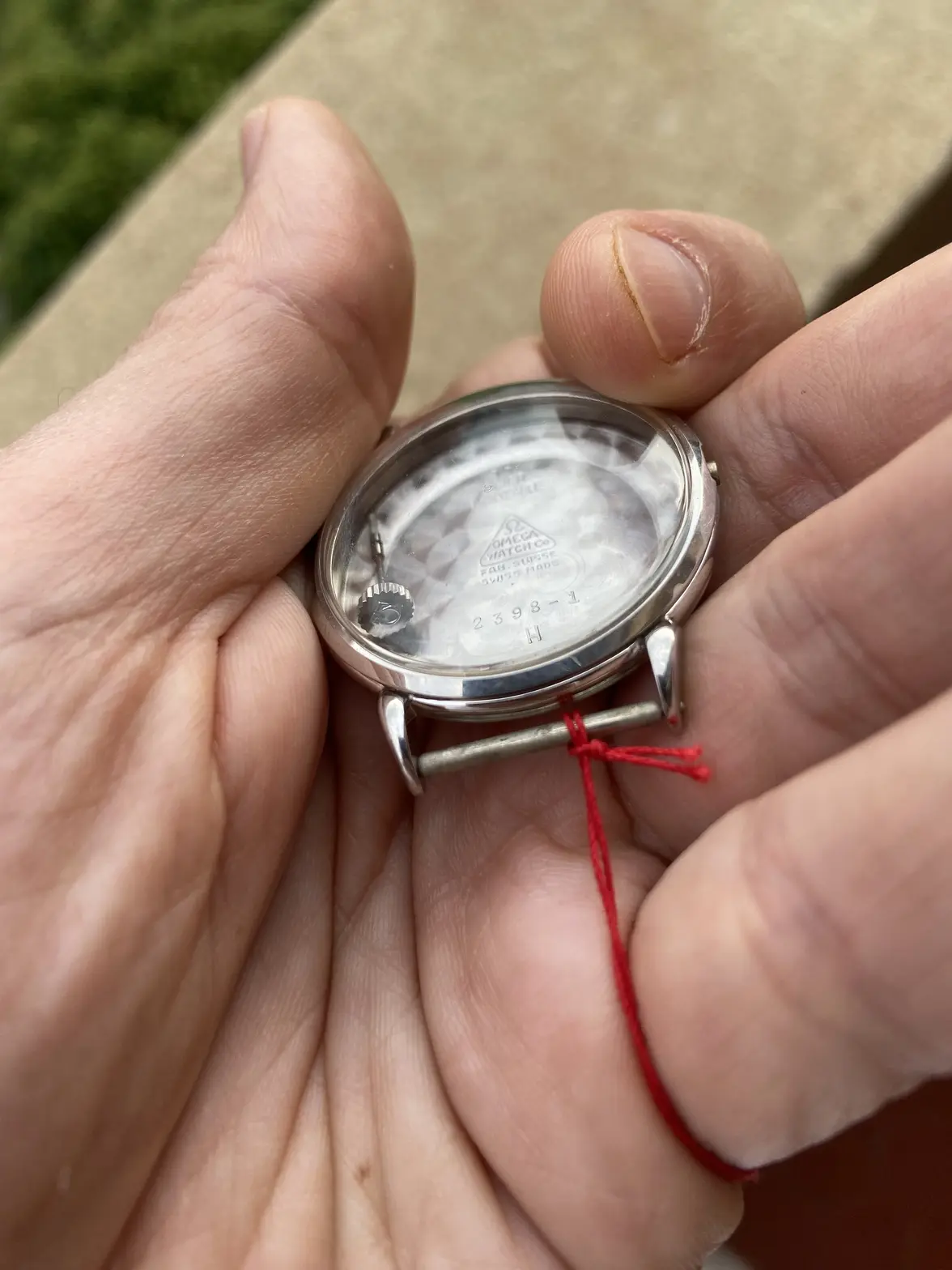 IMG_8559.webp IMG_8559.webp