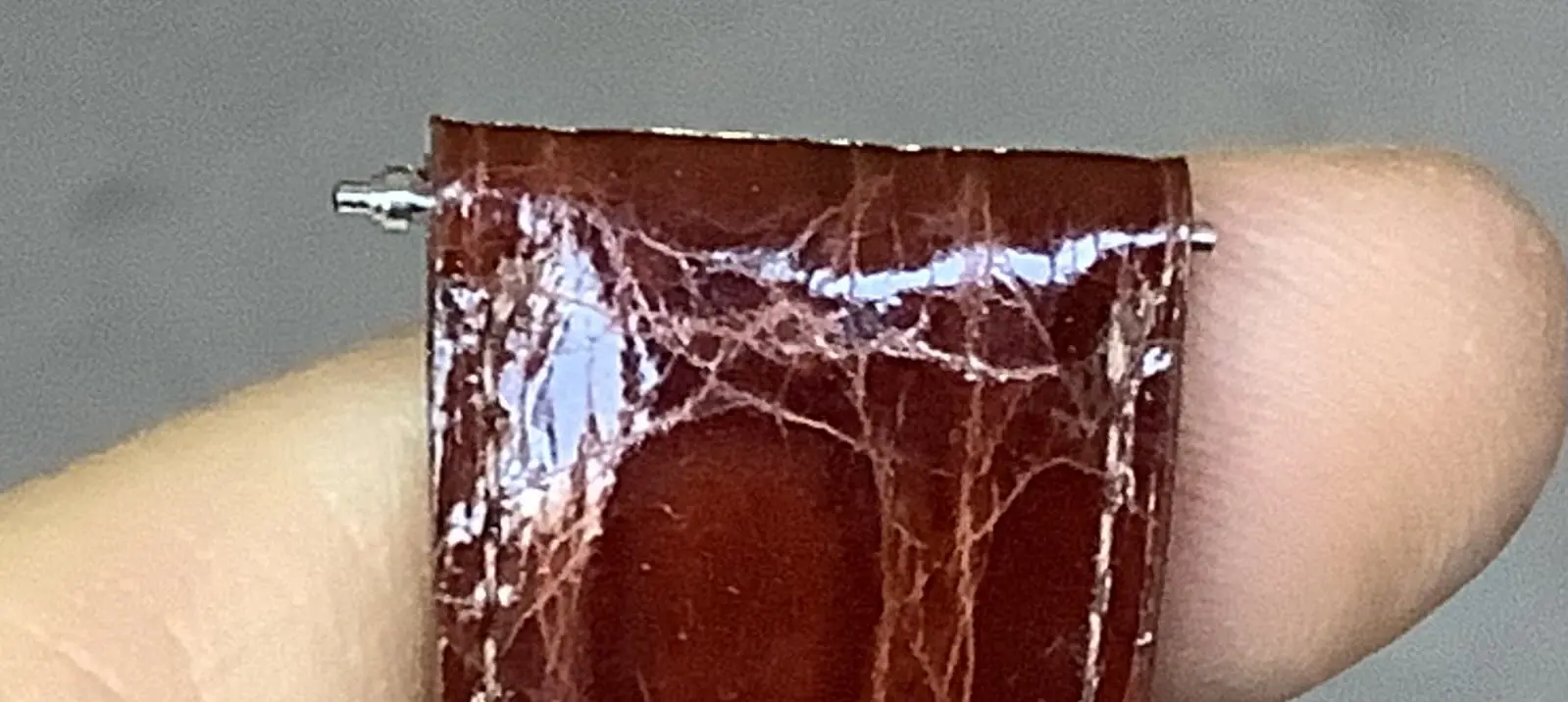 IMG_4026.webp IMG_4026.webp