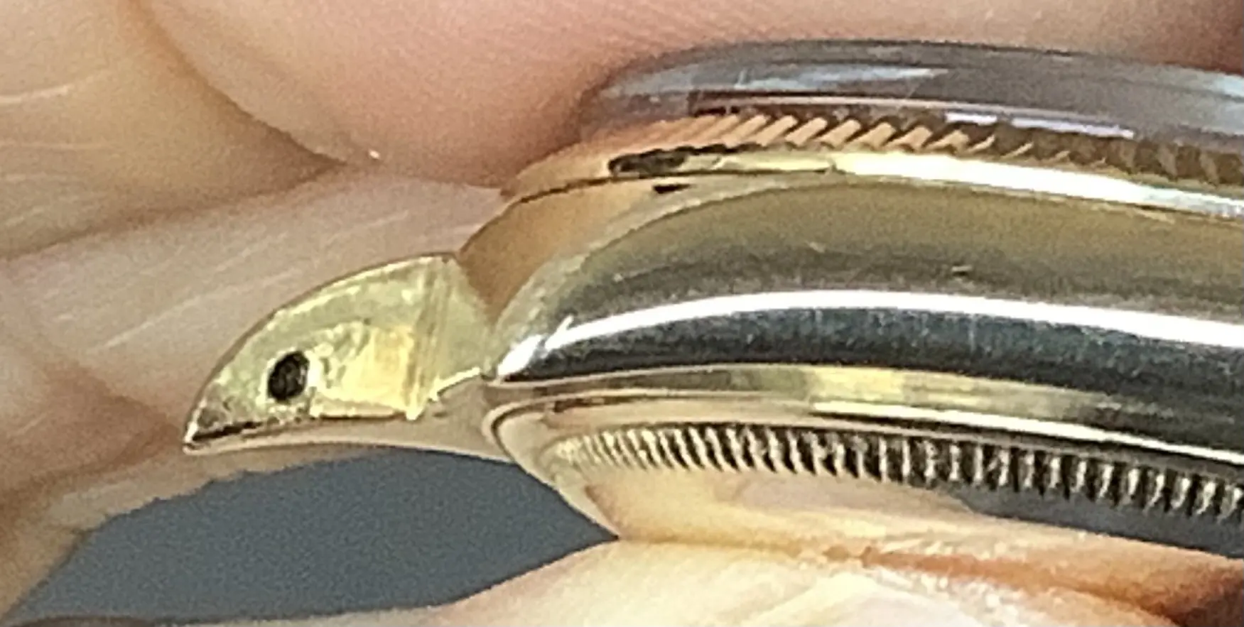 IMG_4025.webp IMG_4025.webp