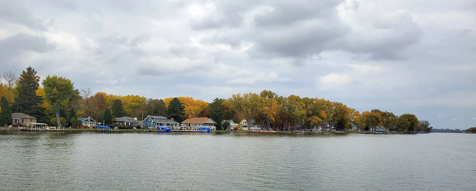 Tuna 1 20251101_154419.webp