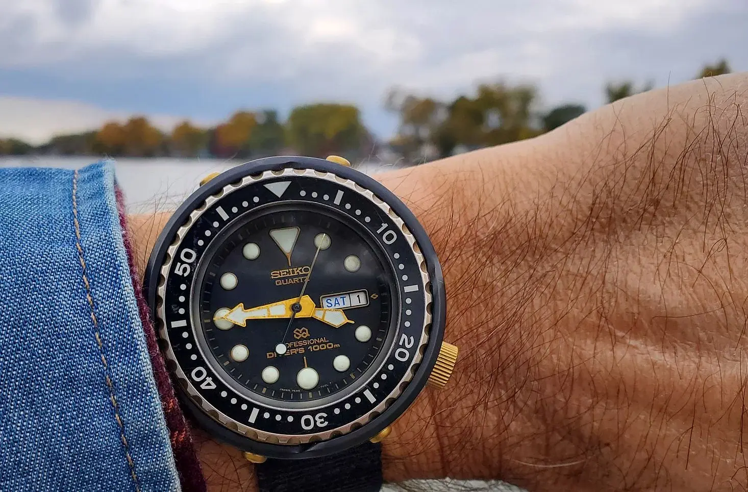 Tuna 3b 20251101_154458.webp