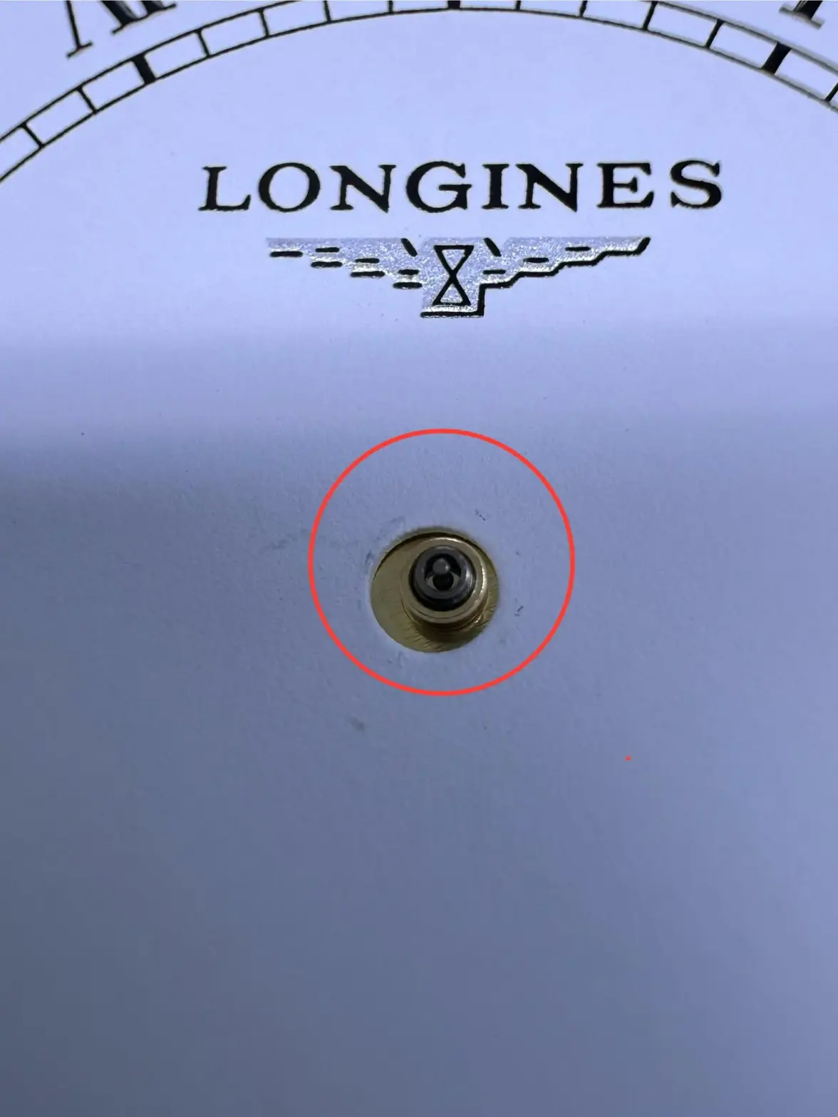 IMG_3911.webp IMG_3911.webp