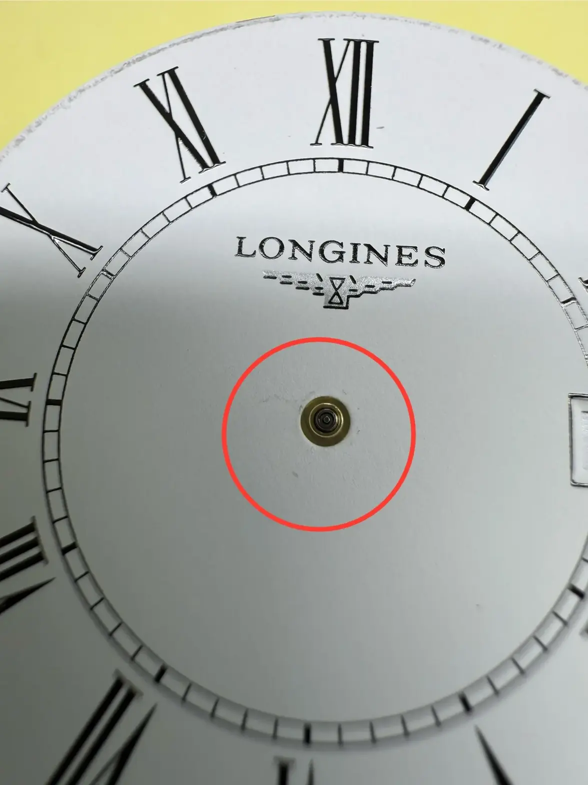 IMG_3912.webp IMG_3912.webp