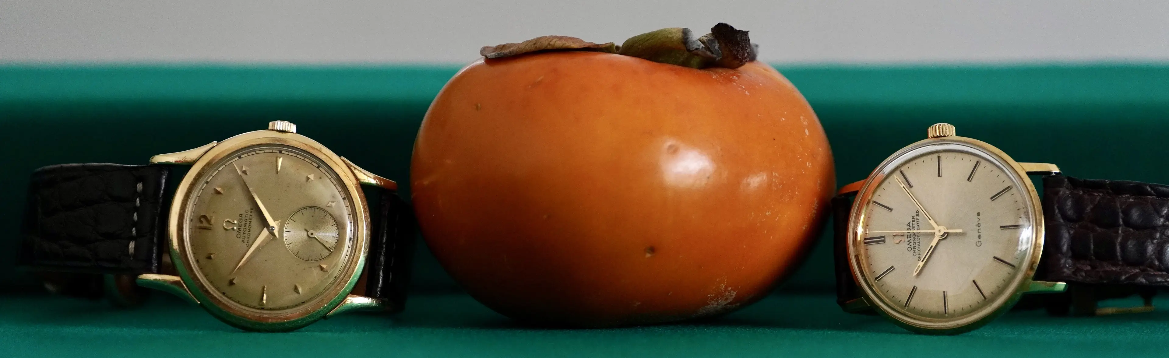 DSC05954.webp DSC05954.webp