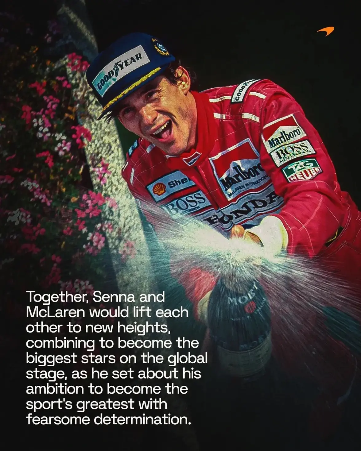 IMG_2528.webp IMG_2528.webp