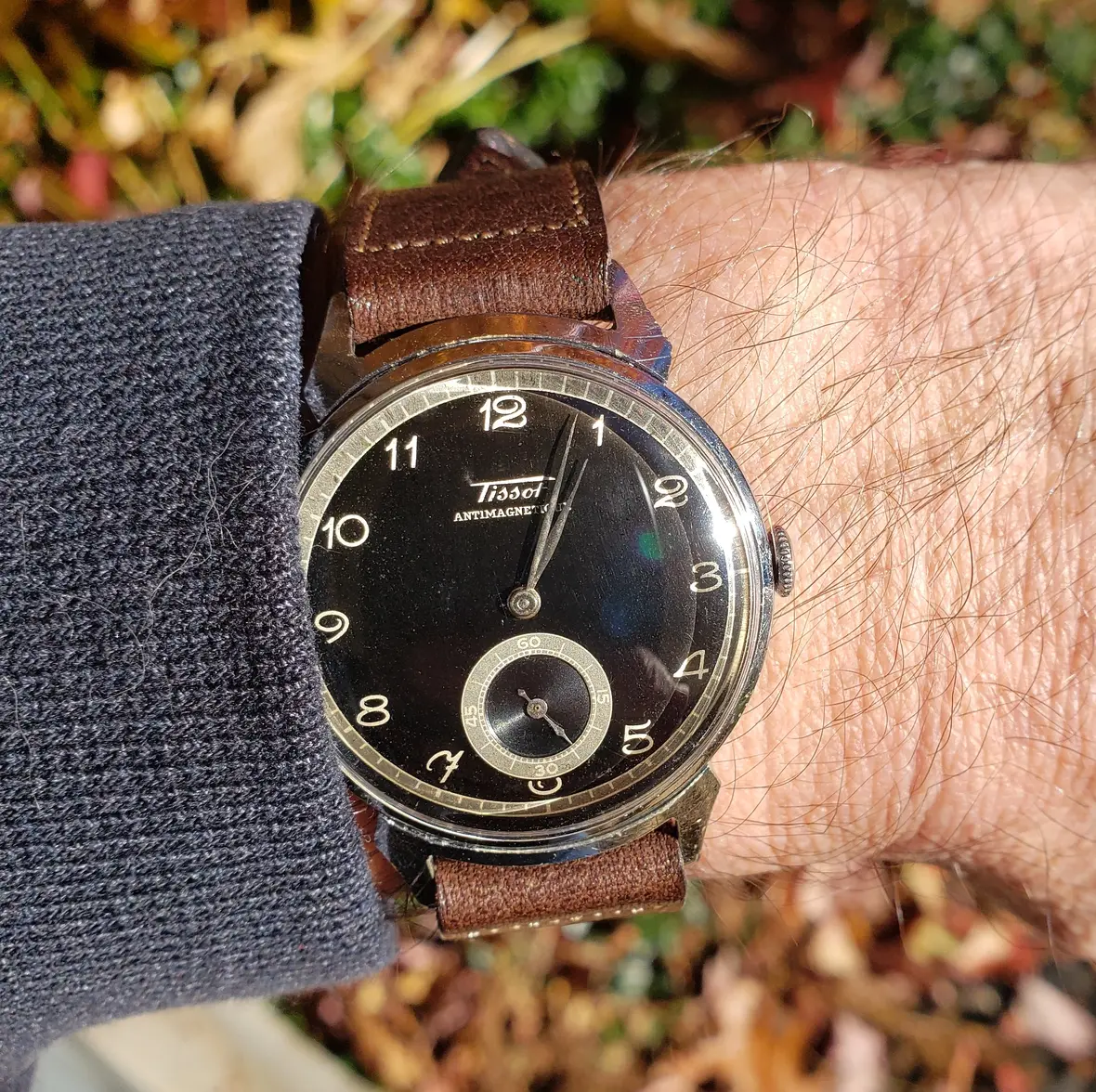 squiggly sevens 2.webp