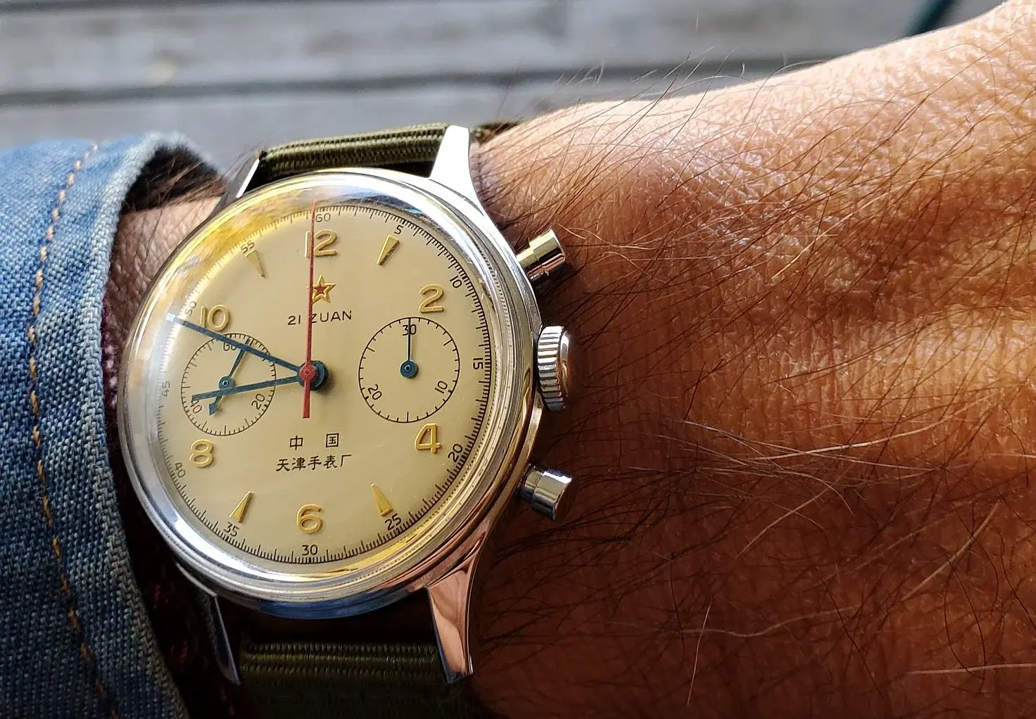 Seagull ws 2 20251107_084901.webp