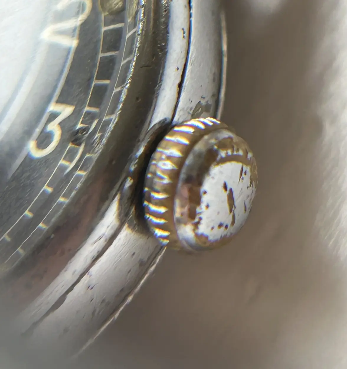 IMG_5158.webp IMG_5158.webp