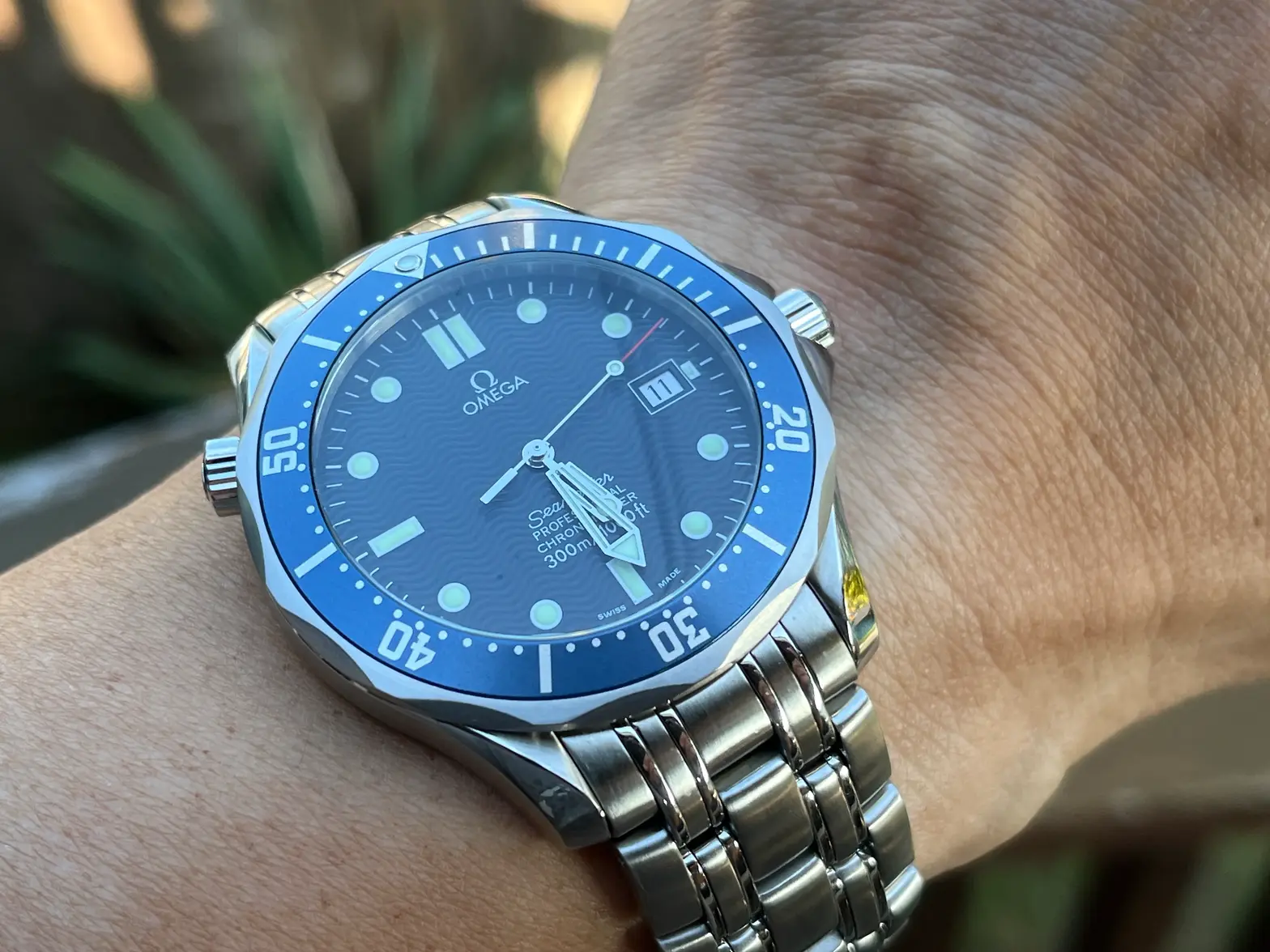 IMG_0134.webp IMG_0134.webp