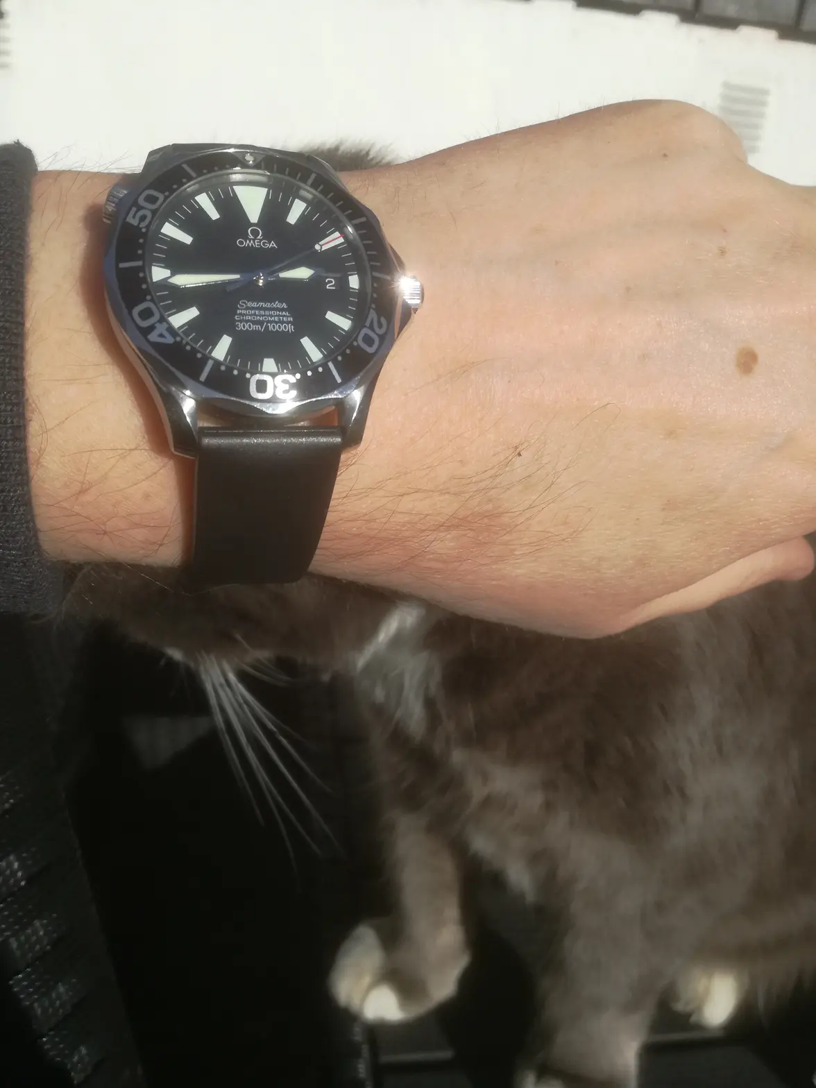 IMG_20210302_144447.webp IMG_20210302_144447.webp