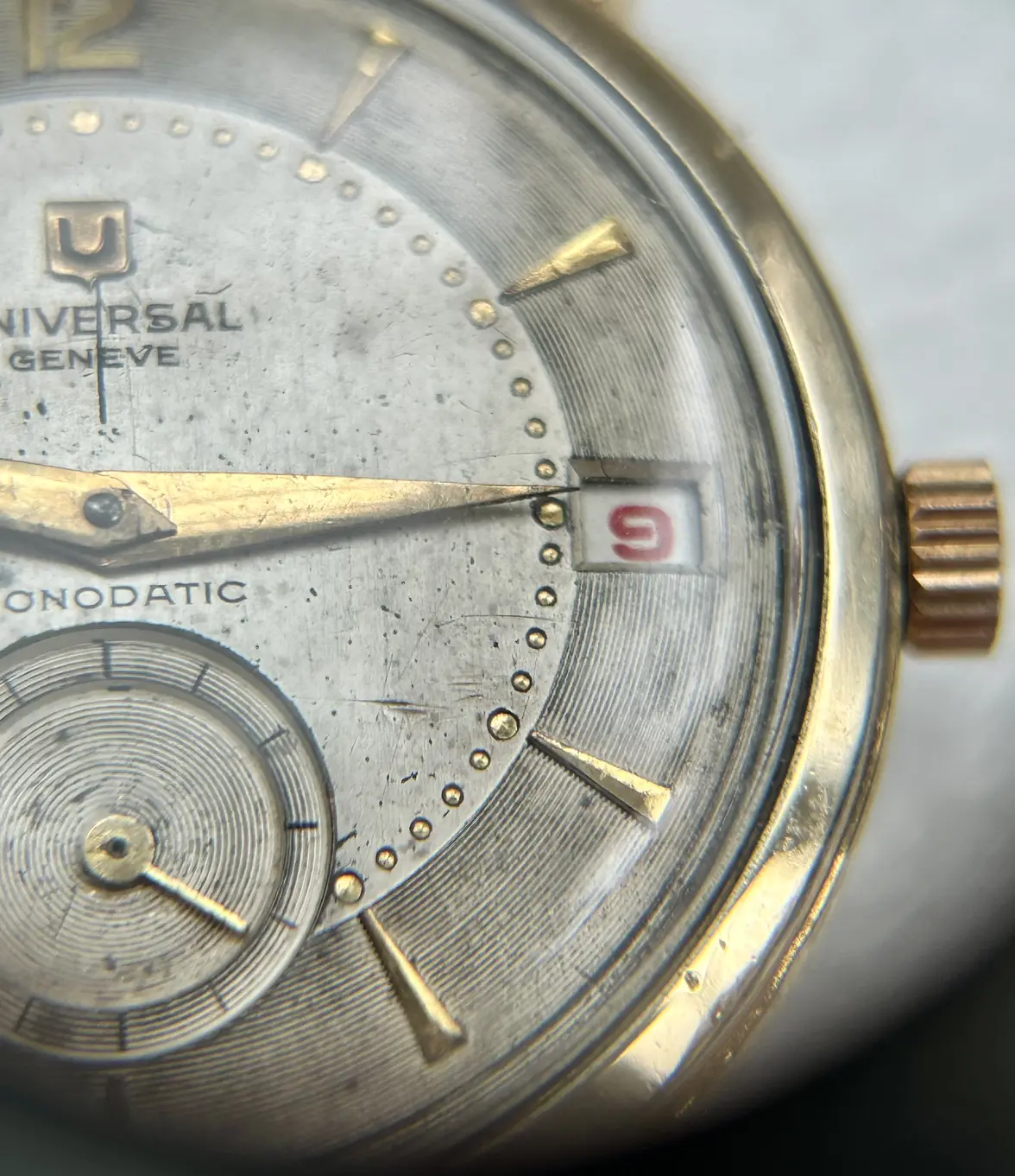 IMG_5193.webp IMG_5193.webp