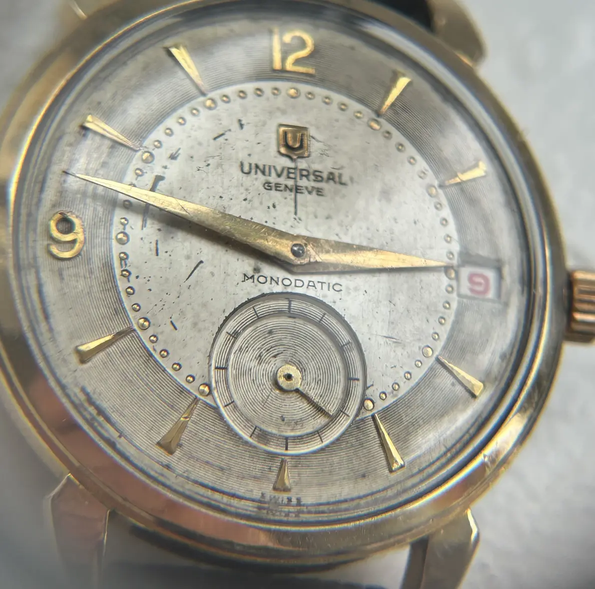 IMG_5187.webp IMG_5187.webp