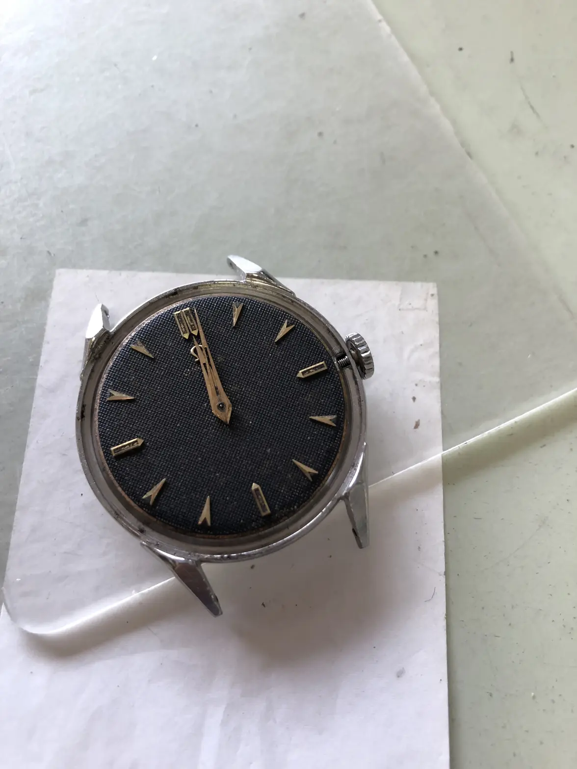 IMG_4729.webp IMG_4729.webp