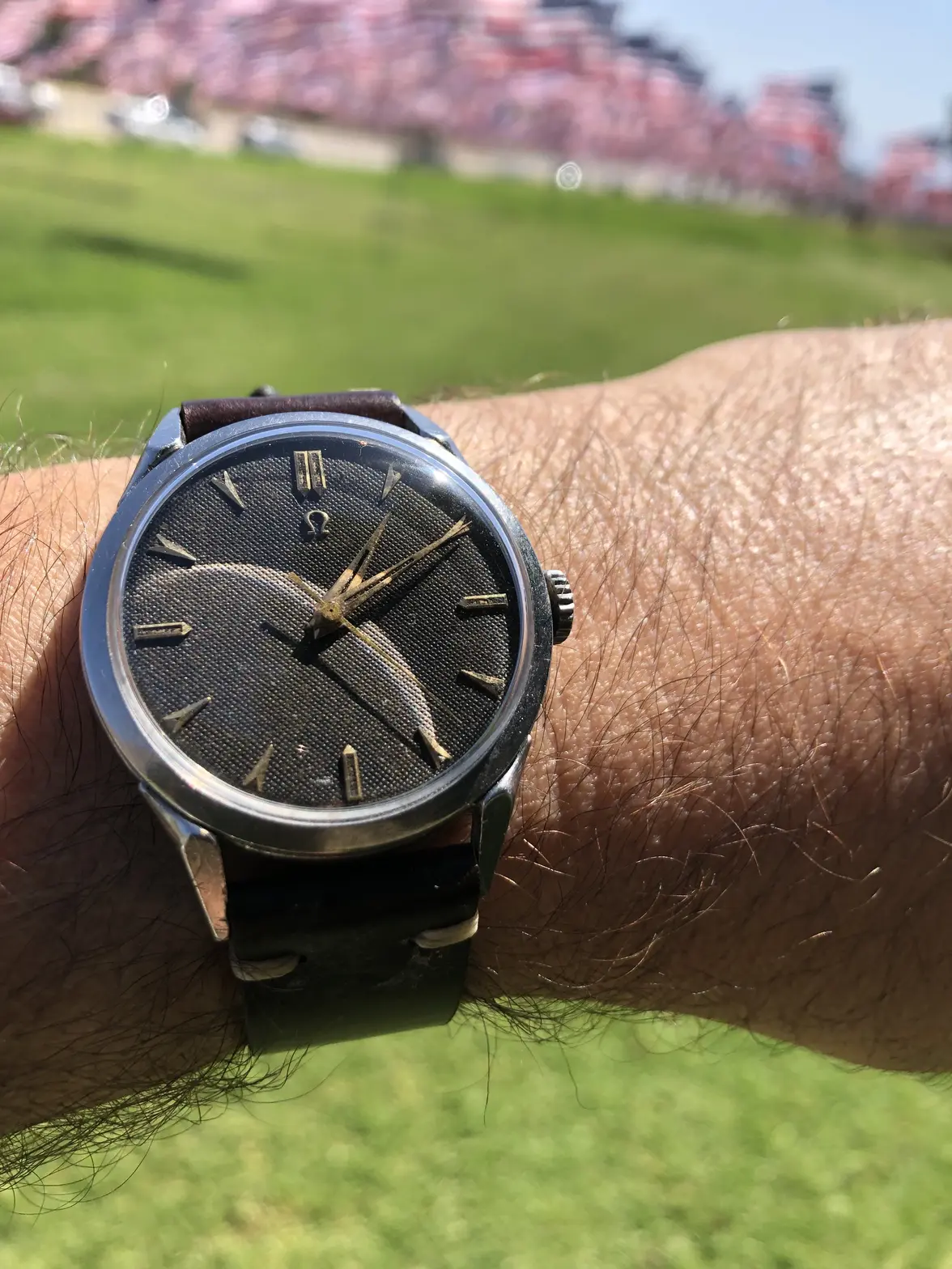 IMG_5067.webp IMG_5067.webp