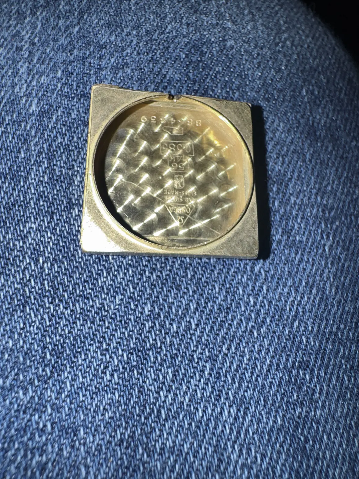 IMG_1743.webp IMG_1743.webp