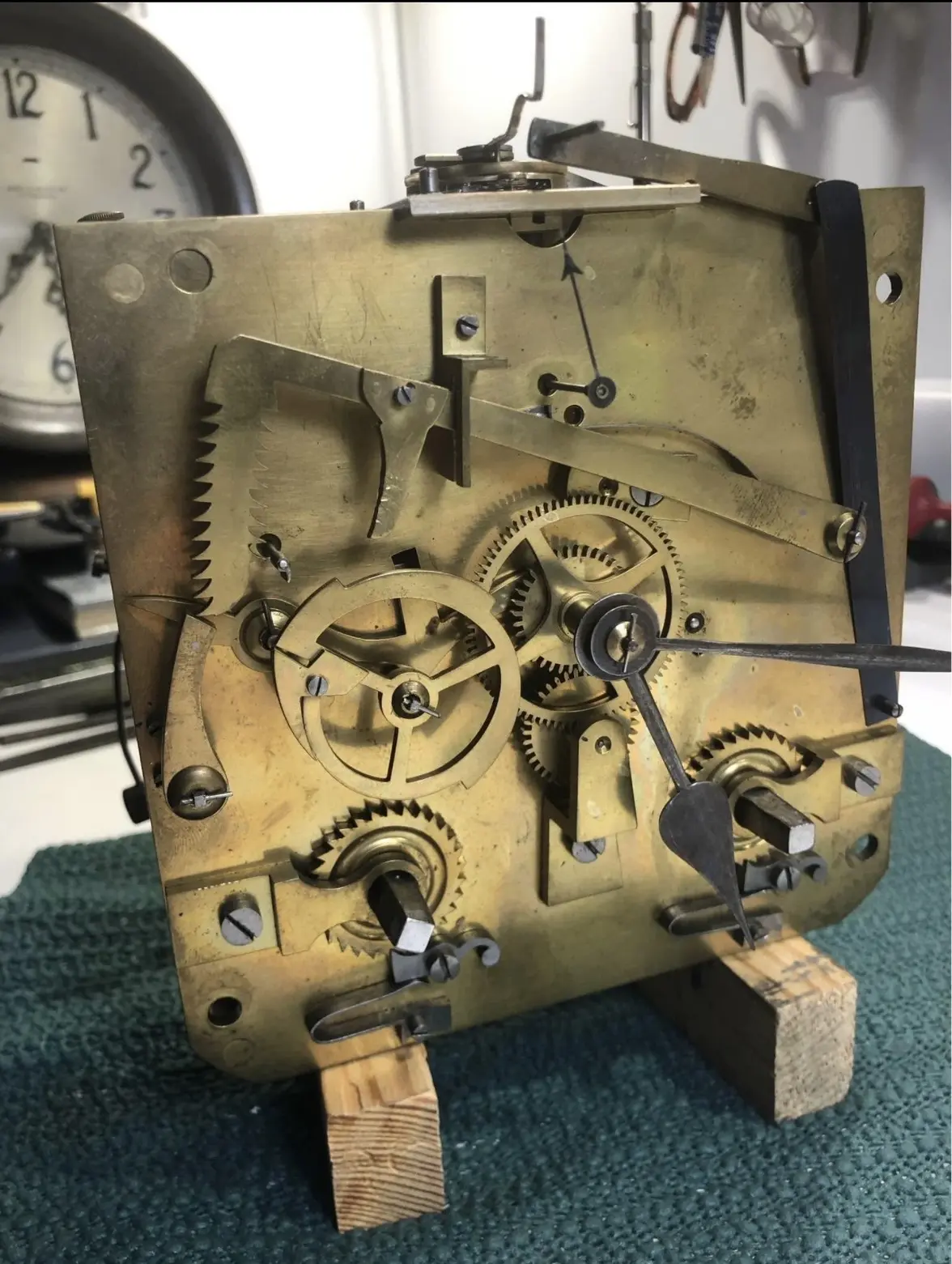 IMG_1637.webp IMG_1637.webp