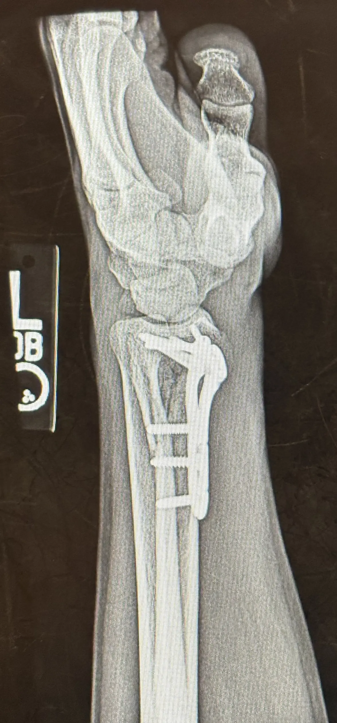 IMG_0497.webp IMG_0497.webp