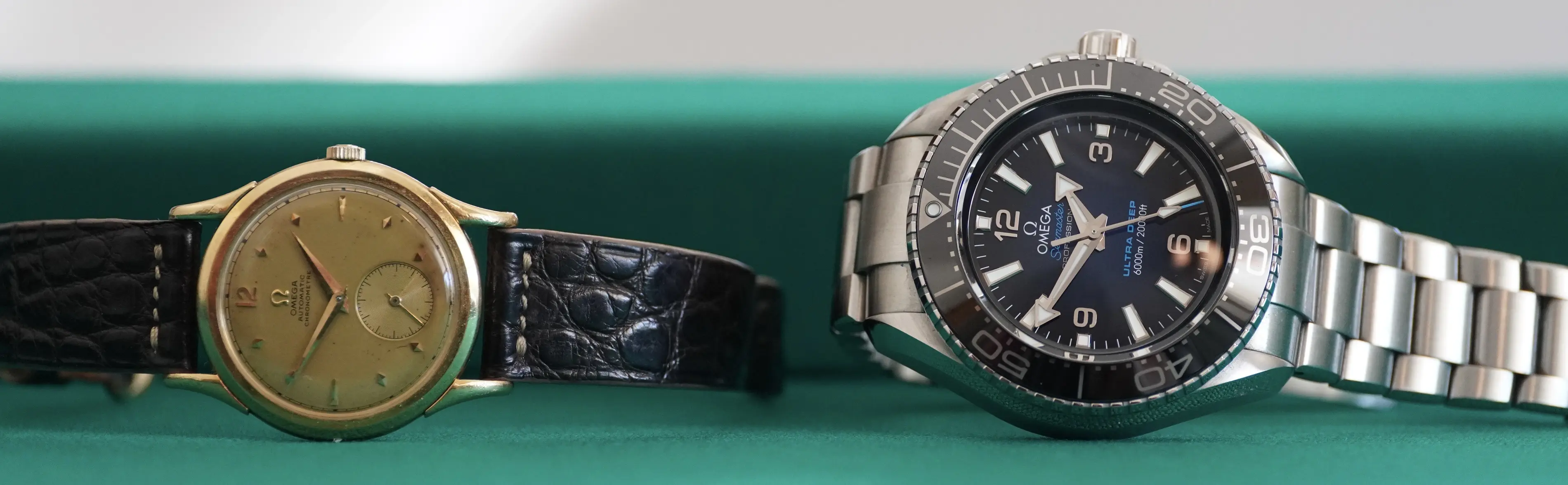 DSC05967.webp DSC05967.webp