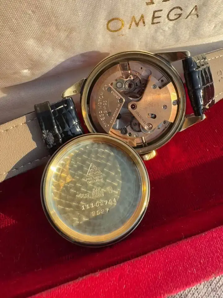 468531637_570931449222654_4836324073232904783_n (1).webp