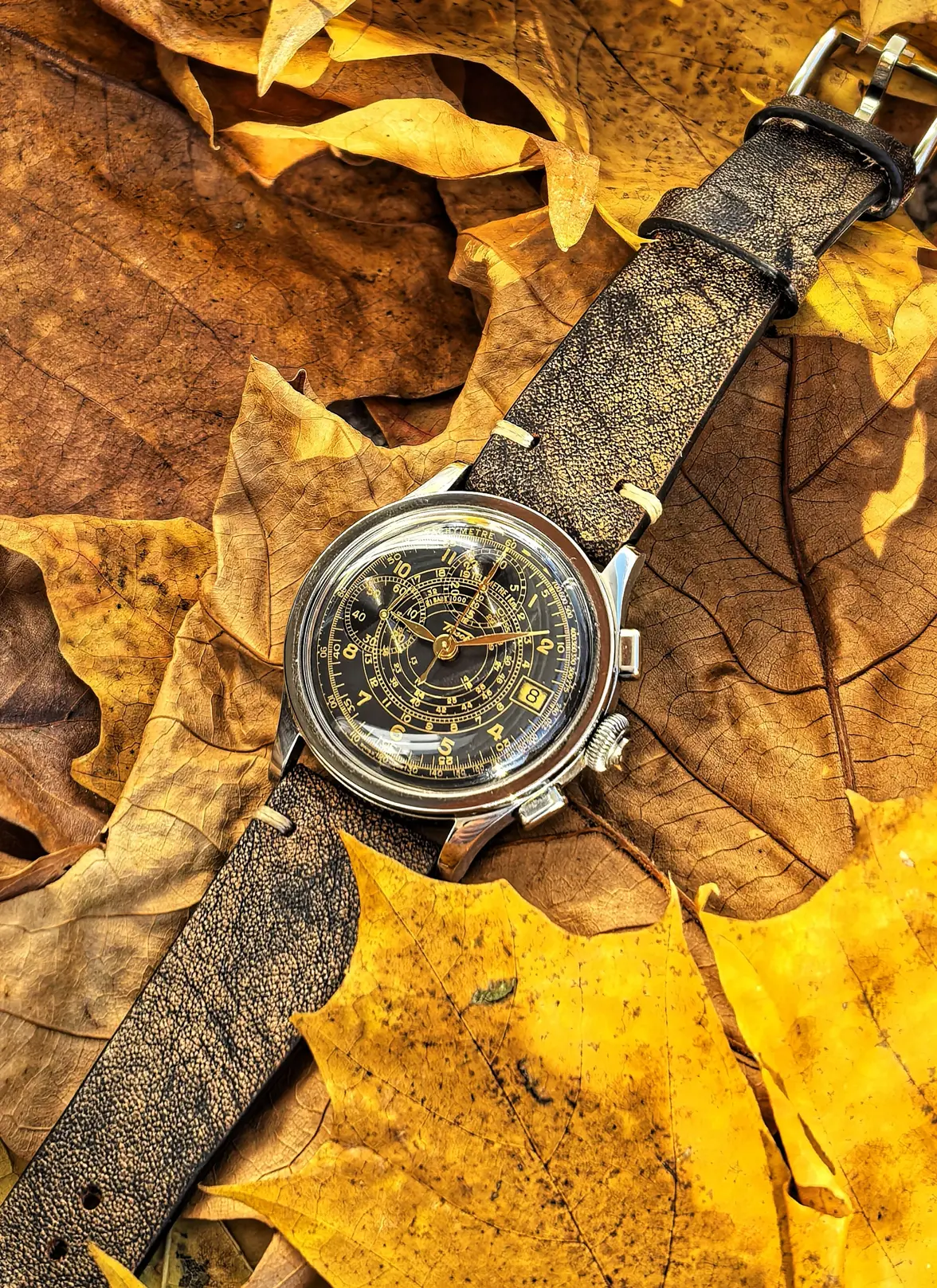 IMG_20251108_103750 (1).webp