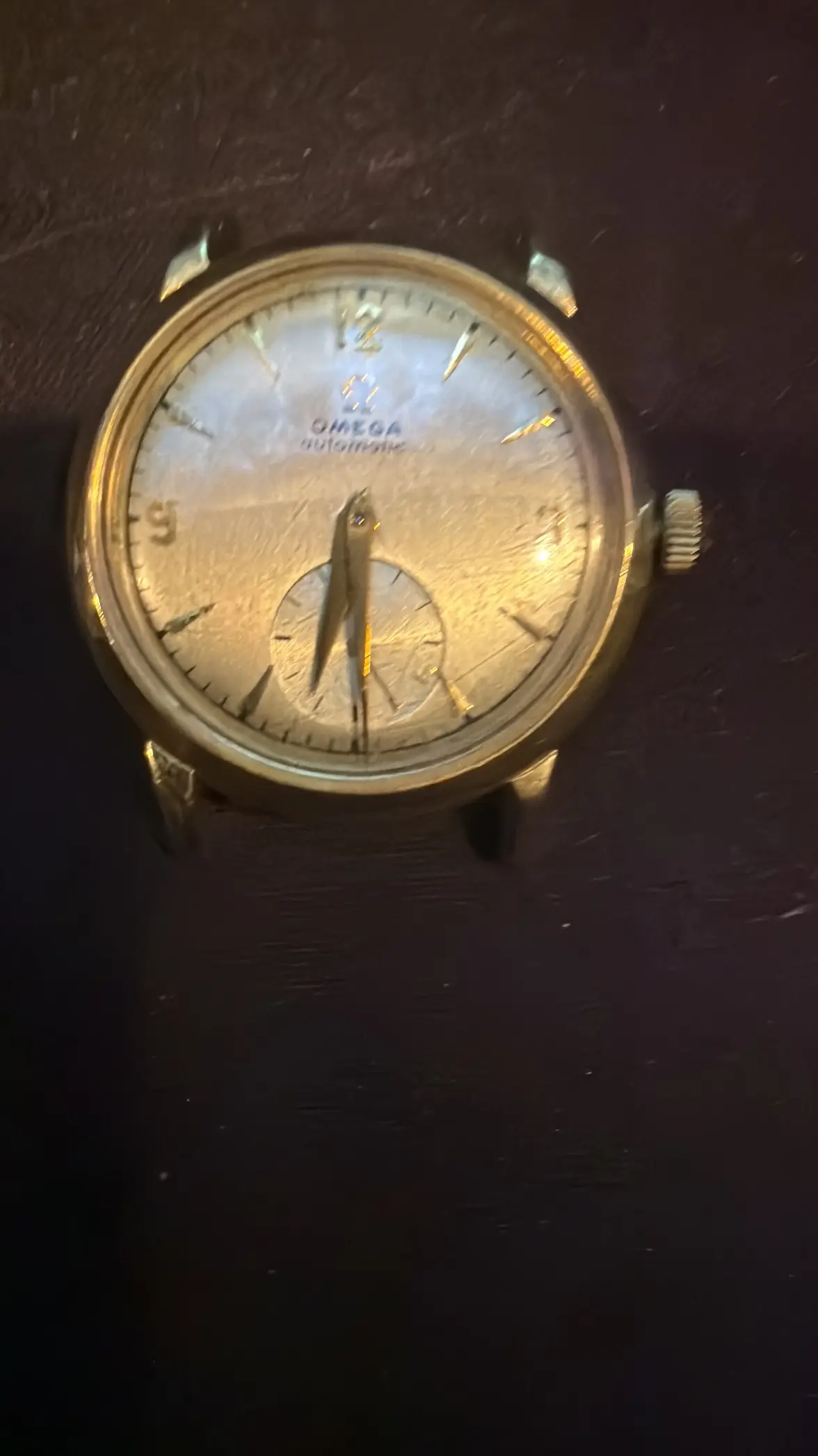 184F7CC0-65E6-4322-850F-5ADD0D4B3C2C.webp 184F7CC0-65E6-4322-850F-5ADD0D4B3C2C.webp