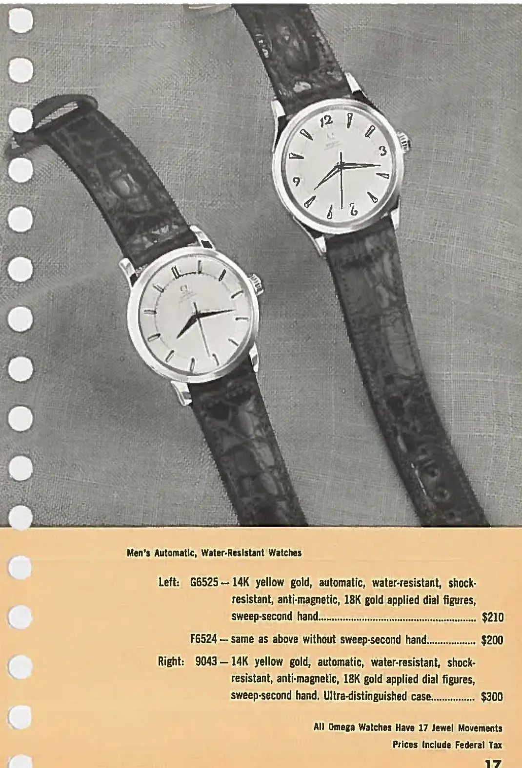 1763064256025.webp 1763064256025.webp